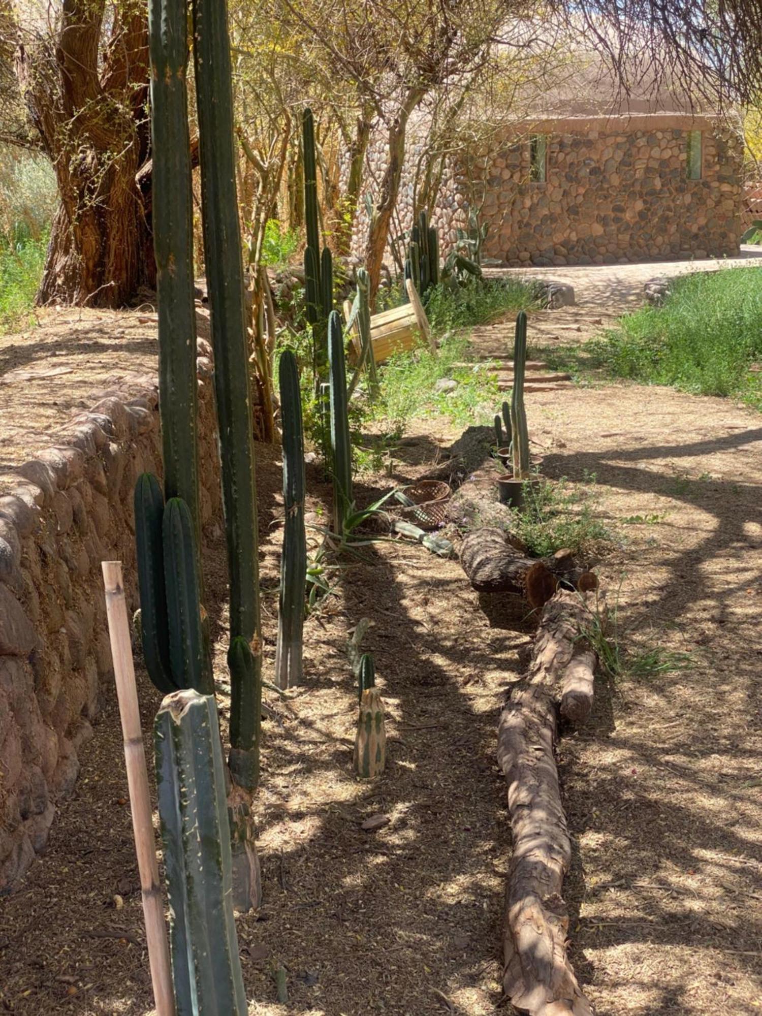 Casa Luna Konuk evi San Pedro de Atacama Dış mekan fotoğraf