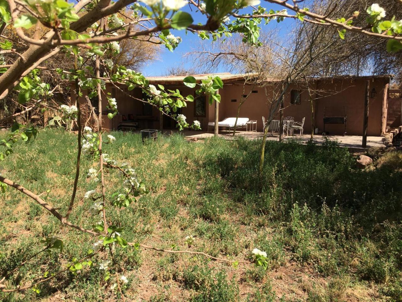 Casa Luna Konuk evi San Pedro de Atacama Dış mekan fotoğraf