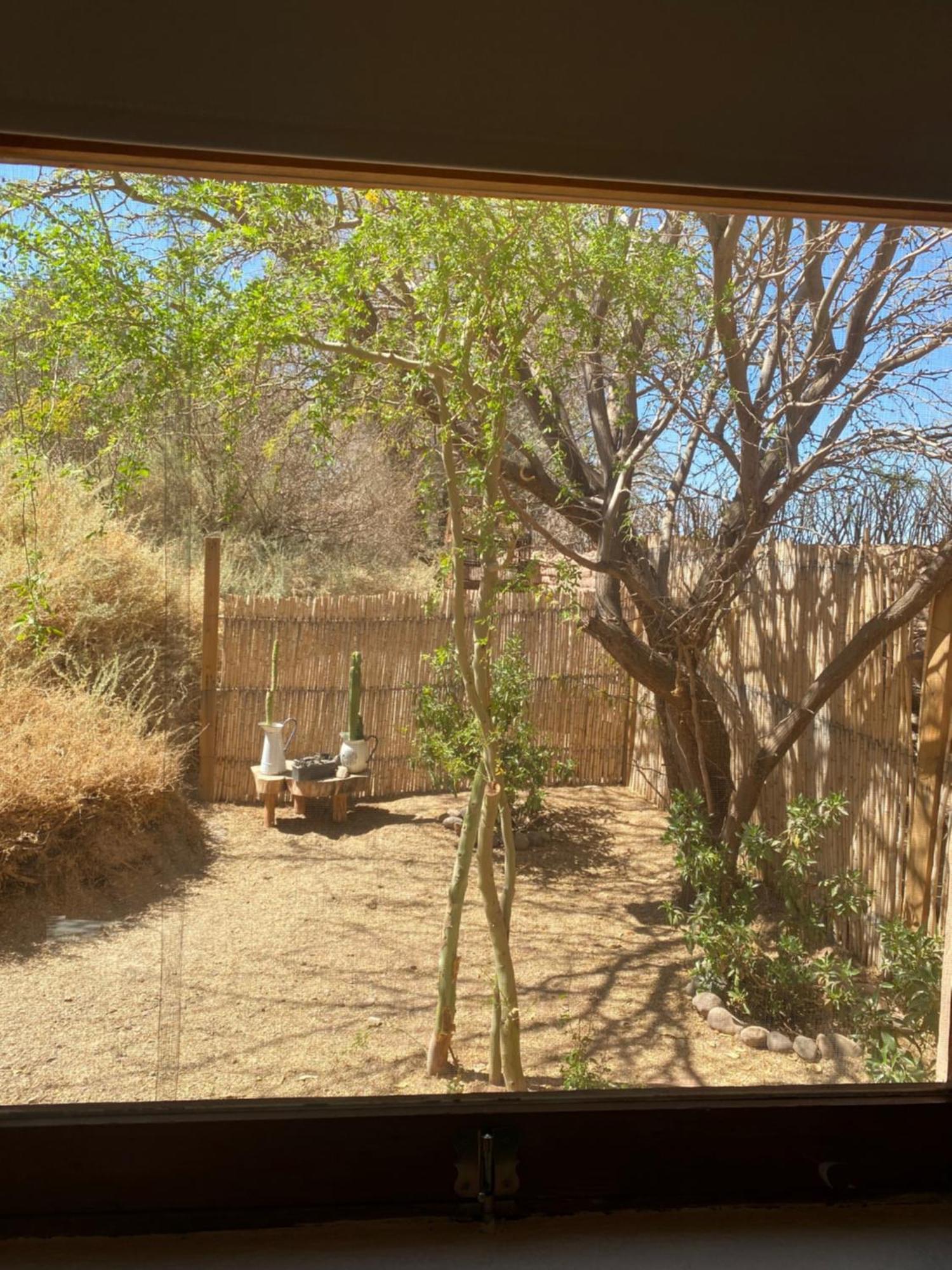 Casa Luna Konuk evi San Pedro de Atacama Dış mekan fotoğraf