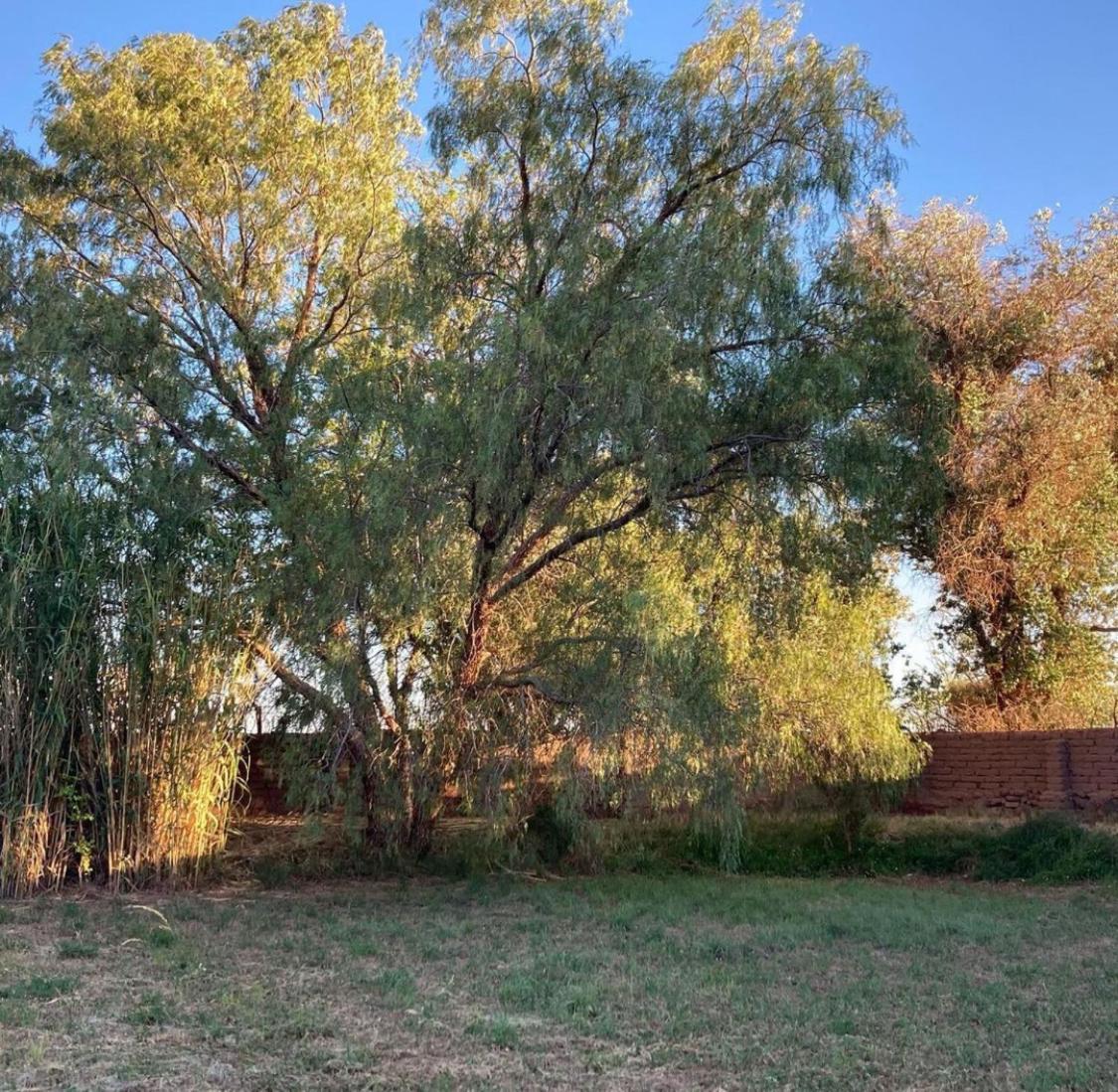 Casa Luna Konuk evi San Pedro de Atacama Dış mekan fotoğraf