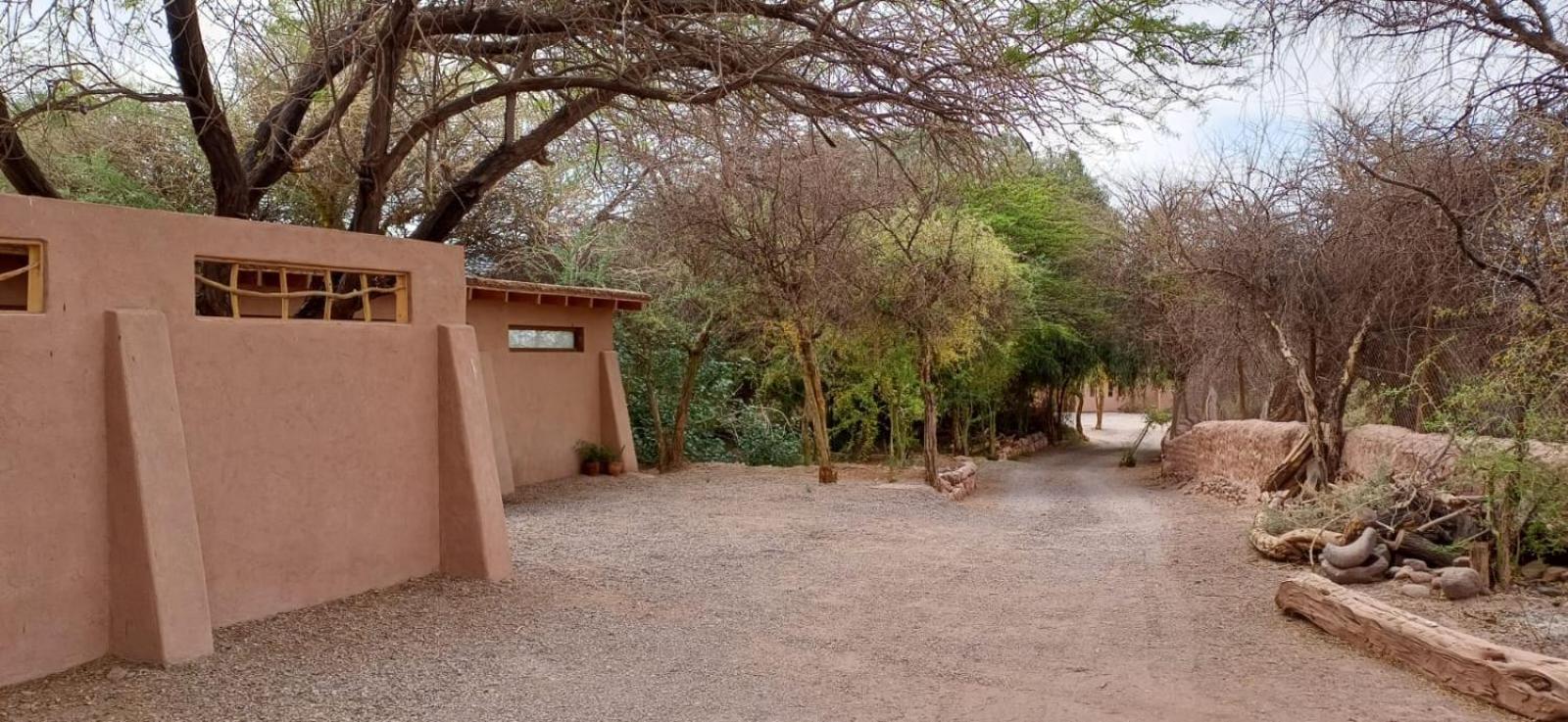 Casa Luna Konuk evi San Pedro de Atacama Dış mekan fotoğraf