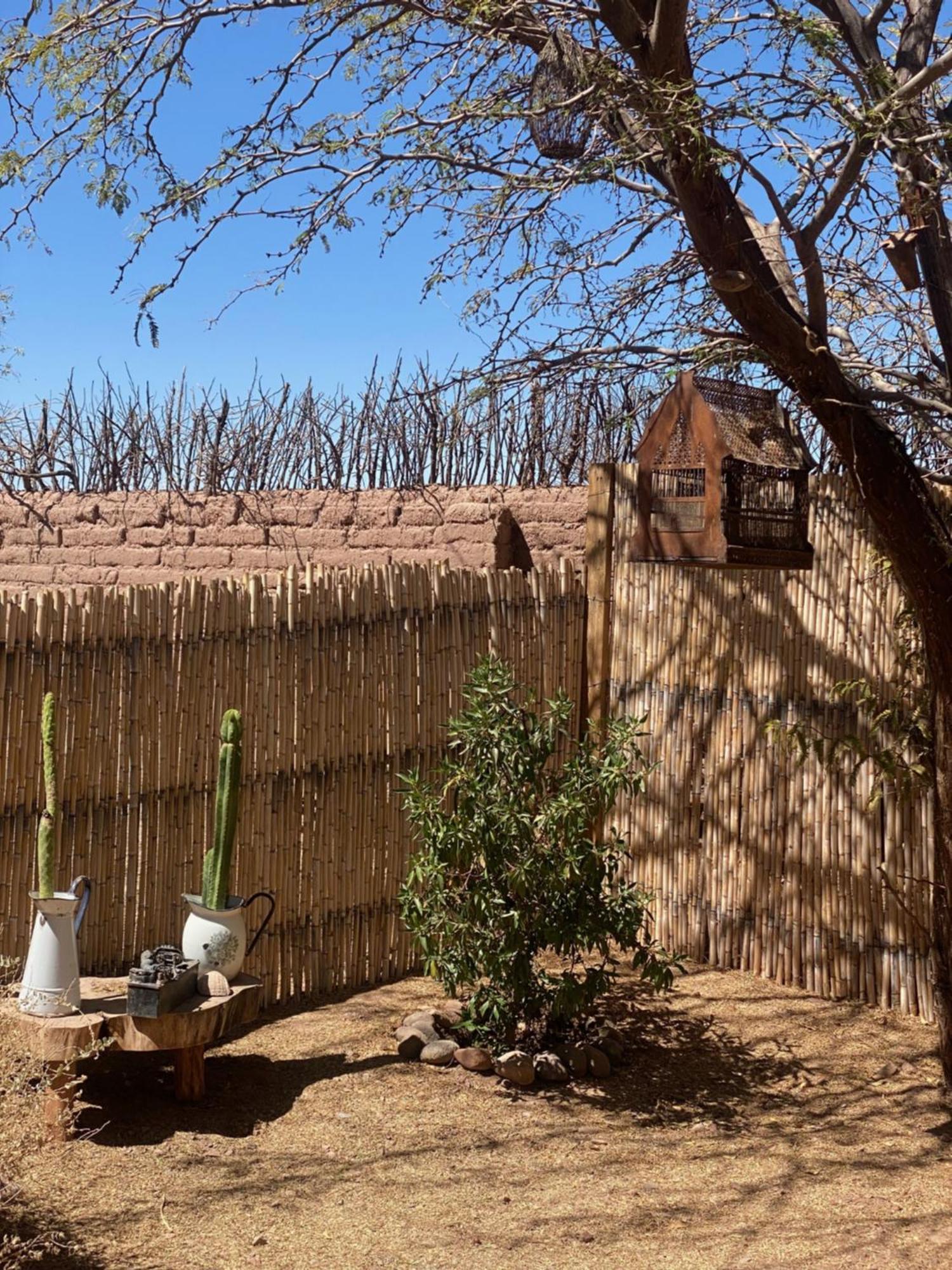 Casa Luna Konuk evi San Pedro de Atacama Dış mekan fotoğraf